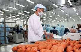  ПИЩЕВАЯ ПРОМЫШЛЕННОСТЬ